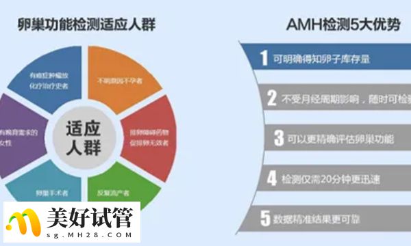 amh是看卵巢储备功能的