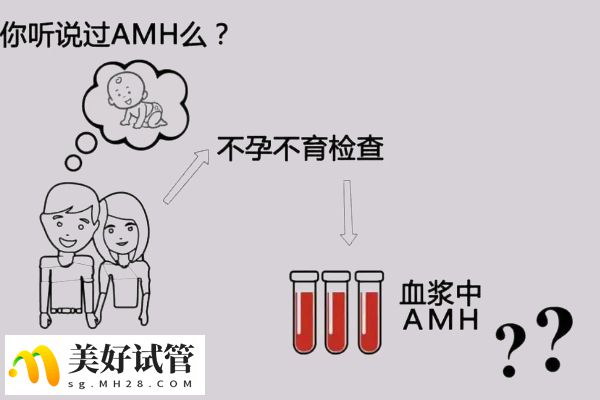 amh0.11是绝经了