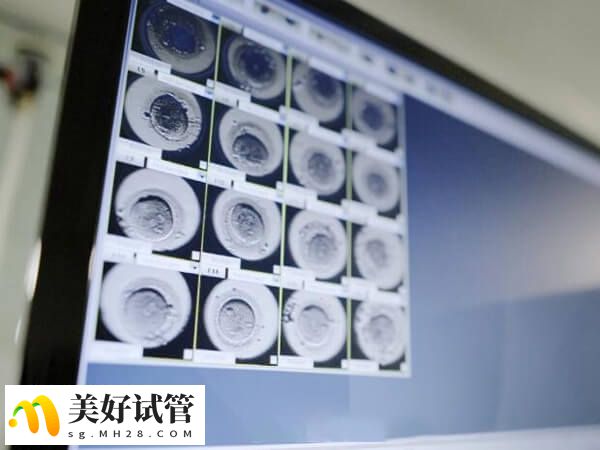胚胎发育缓慢是质量差