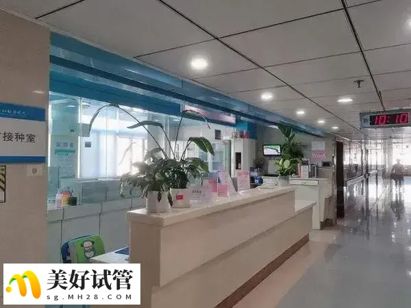 促排期间要注意健康的生活方式