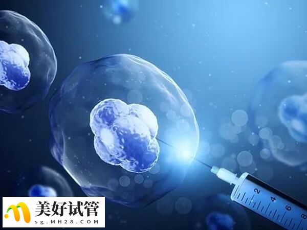 高龄试管卵子质量差