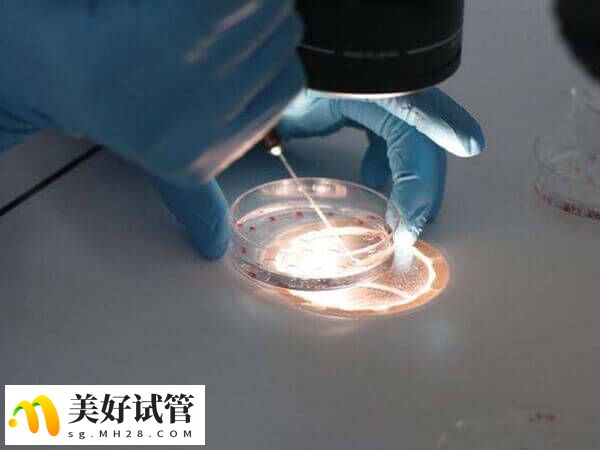 养囊成功的个数因人而异