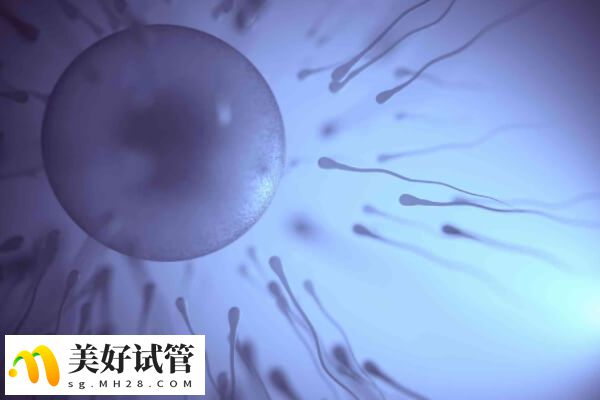 4bc囊胚解冻后通常仍然是4bc囊胚