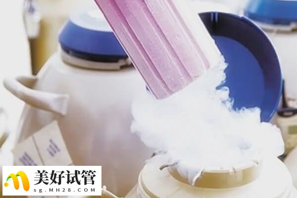 冻胚的成功率与鲜胚几乎没有差异