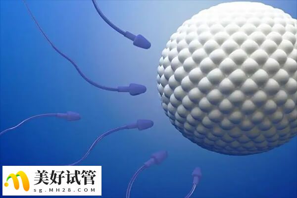  男性不育检查项目多