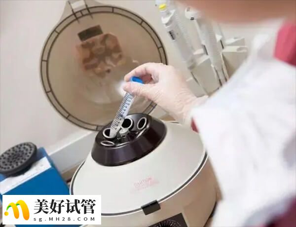 胚胎移植是试管婴儿过程中非常重要的一项