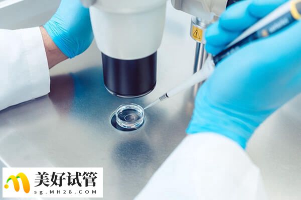 试管婴儿是以体外受精的方式帮助患者怀孕