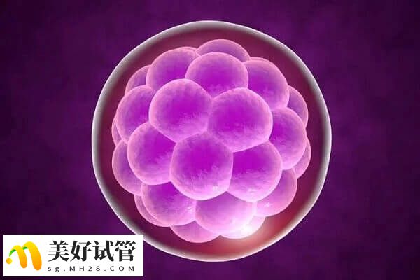 试管促排卵阶段是花费比较高的