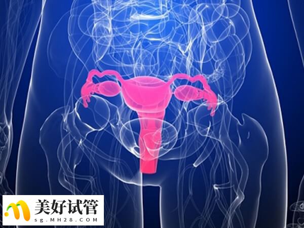 子宫内膜薄会影响胚胎着床