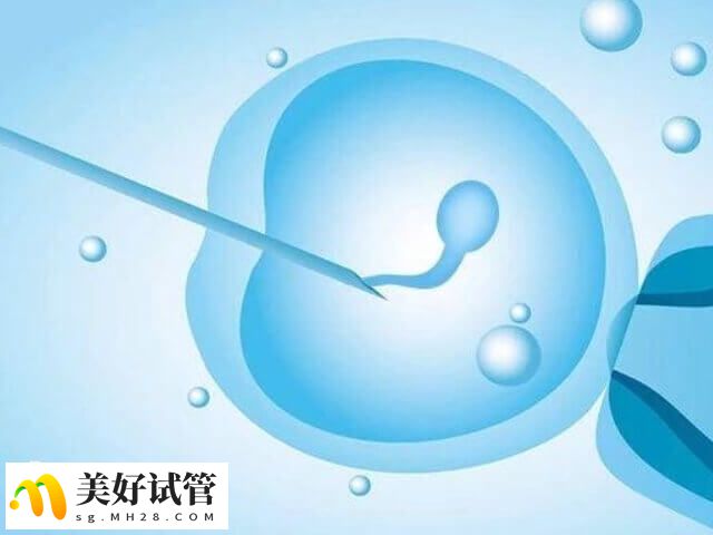 微刺激方案没有降调节过程