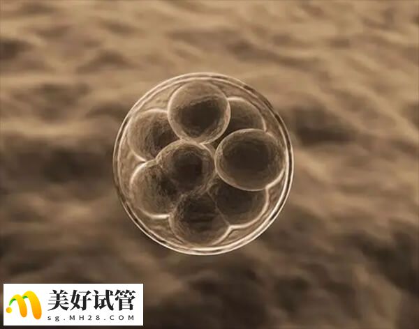 卵巢储备功能比较差可能需要多次取卵