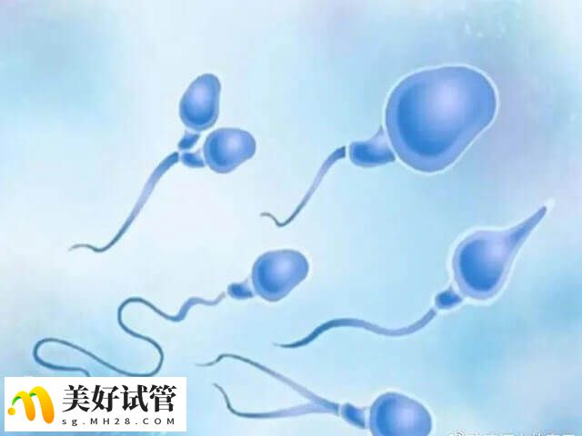 一年内取卵的次数不能超过3次