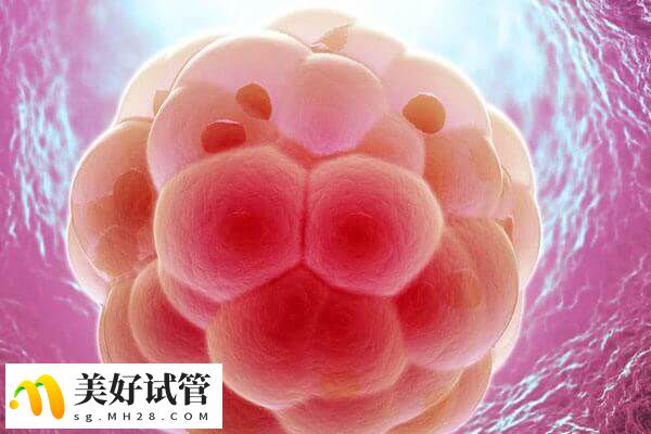 胚胎移植是试管婴儿中非常重要的环节