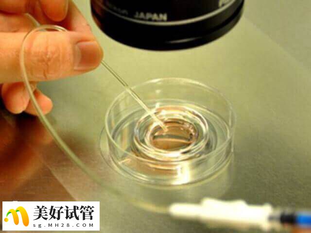 傍晚的时间段里男性的雄性荷尔蒙分泌很旺盛